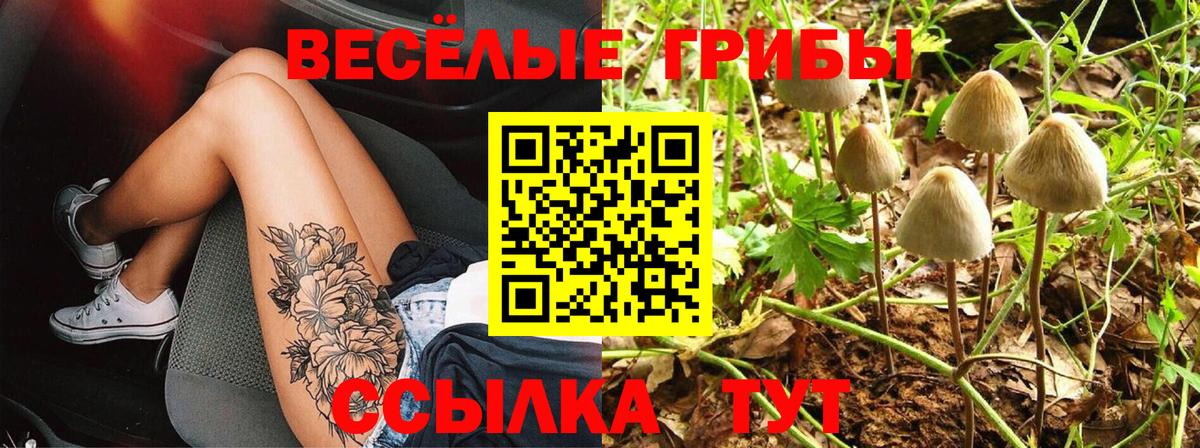 Псилоцибиновые грибы Psilocybe  Вход с VPN  Миасс 