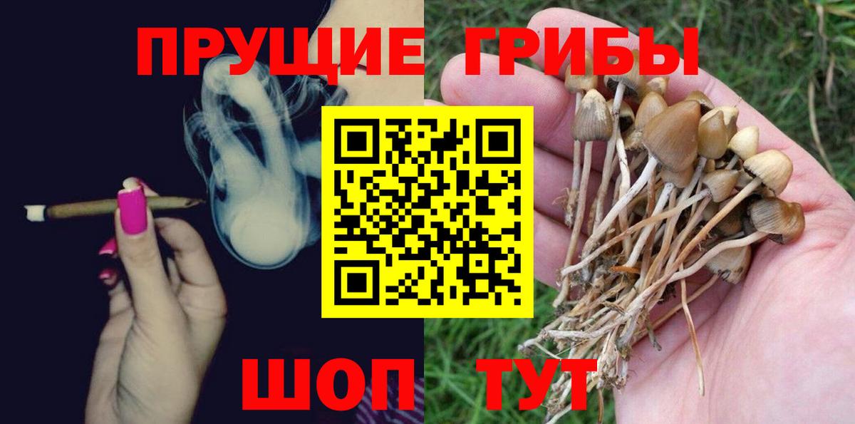 Псилоцибиновые грибы Psilocybe Миасс